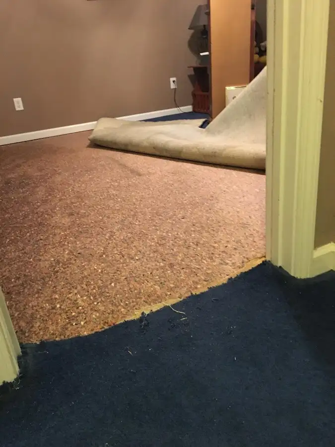 Carpet pad removal revealing water damage during Drying & Dehumidification in East St. Louis