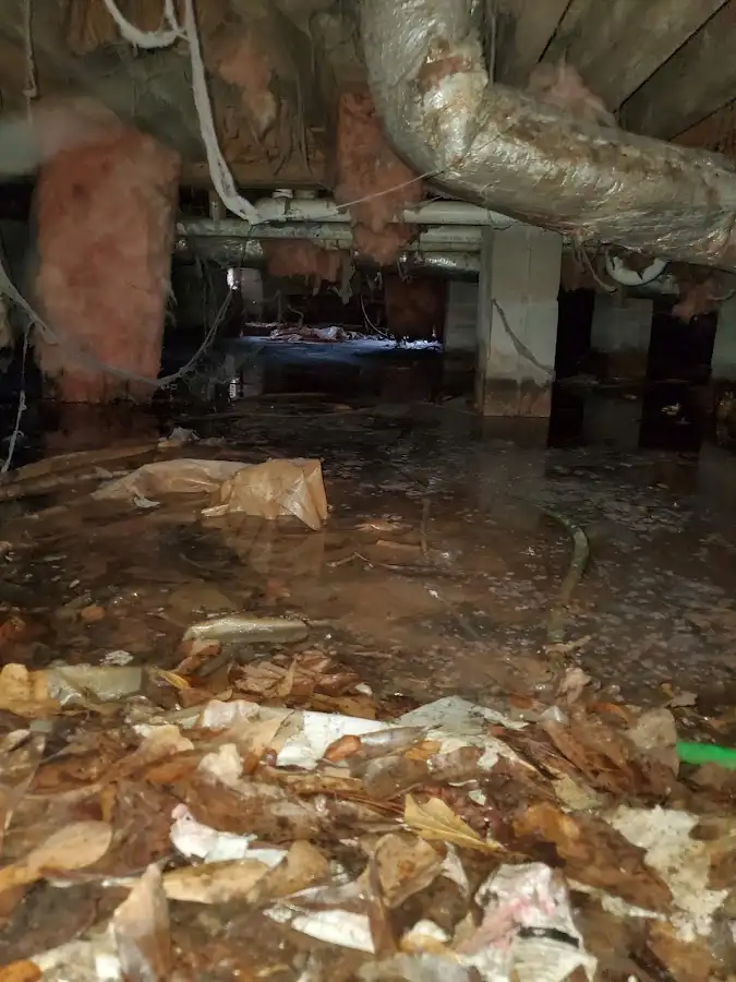 Crawl space flood assessment for Commercial Water Damage Restoration in East St. Louis